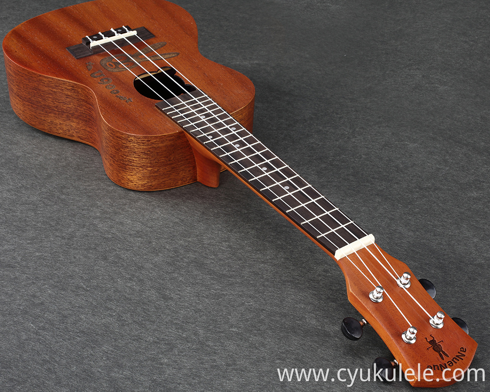 ukulele25 ukulele25